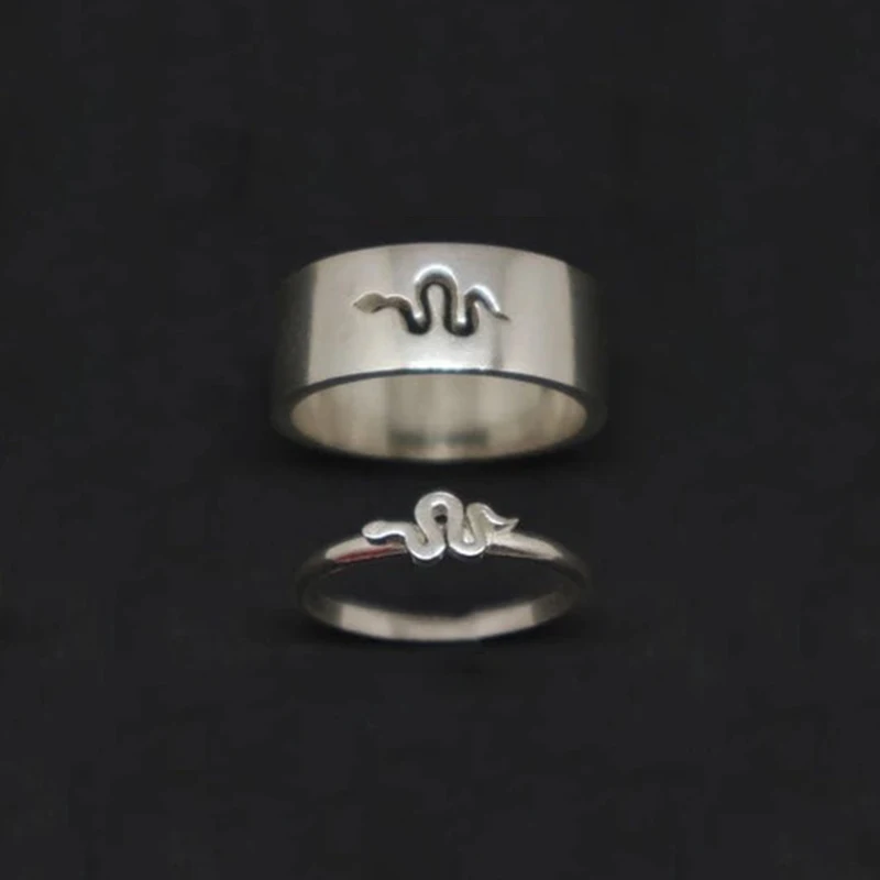 Silver Dinosaur Matching Rings