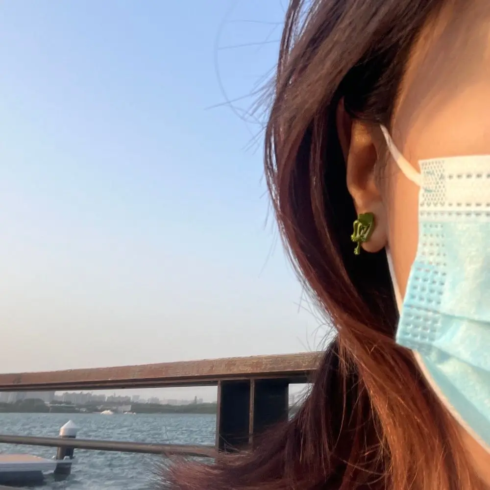 Frog Earrings